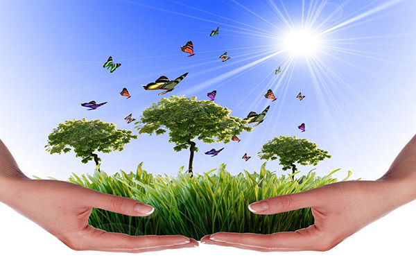 皮革污泥干燥設備優(yōu)勢有哪些 皮革污泥干燥設備優(yōu)勢有哪些